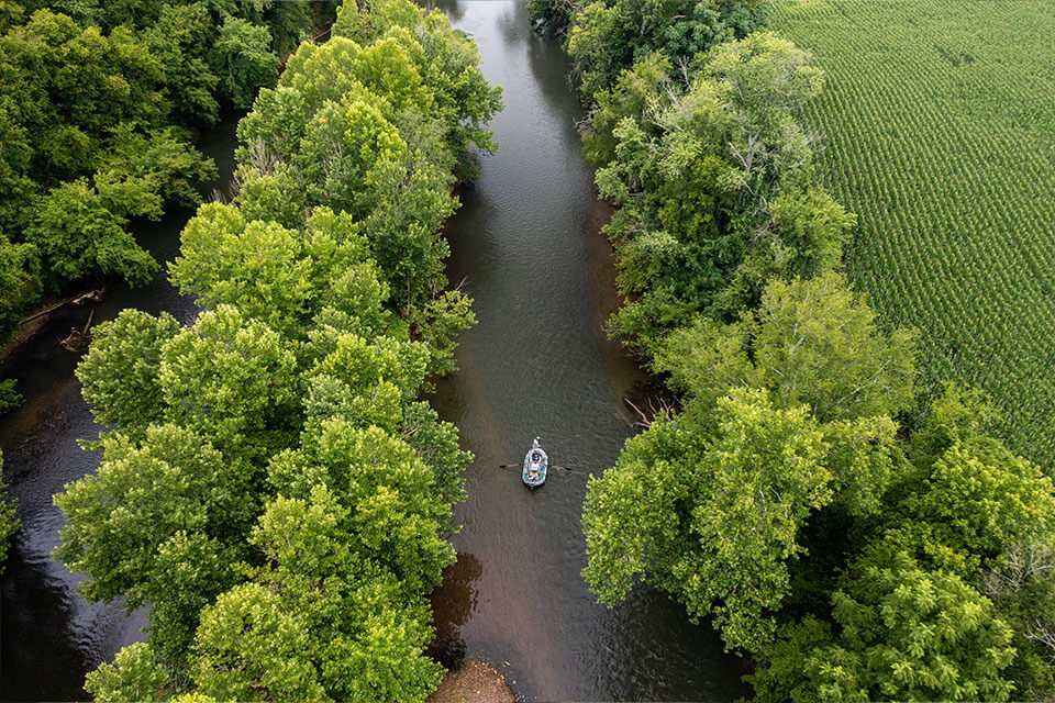 Different Fish, Different Places: The Deep South