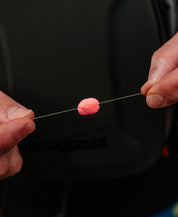 common_image
