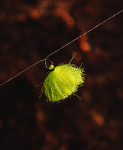 common_image