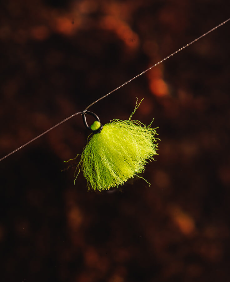 common_image