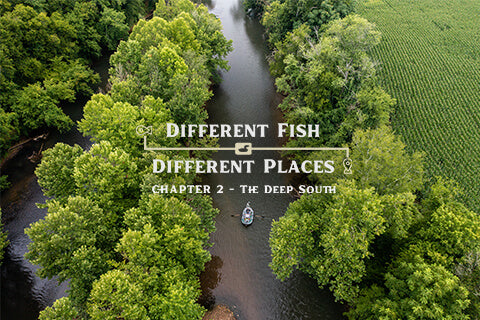 Different Fish, Different Places: The Deep South