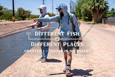 Different Fish, Different Places: Canals in the Desert