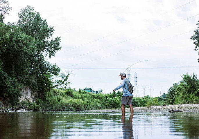 The Eye of the Beholder: Living and Fishing in Memphis