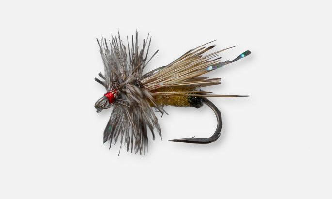 Fly Fishing fly