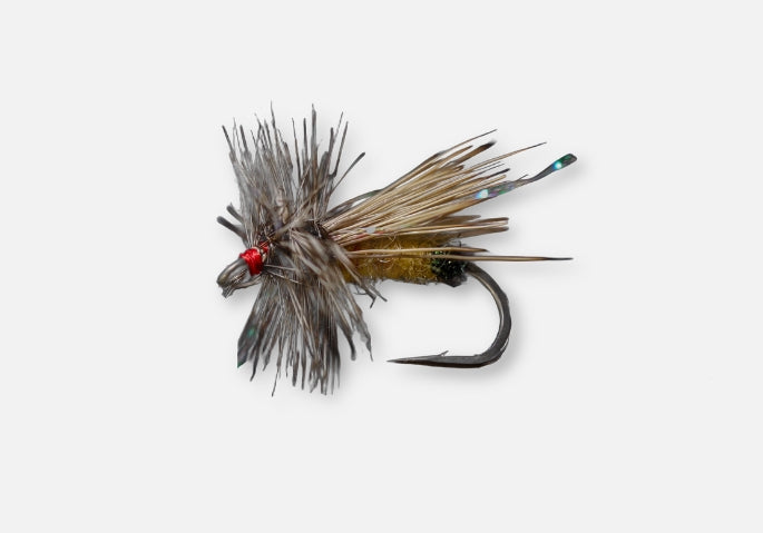 Fly Fishing fly