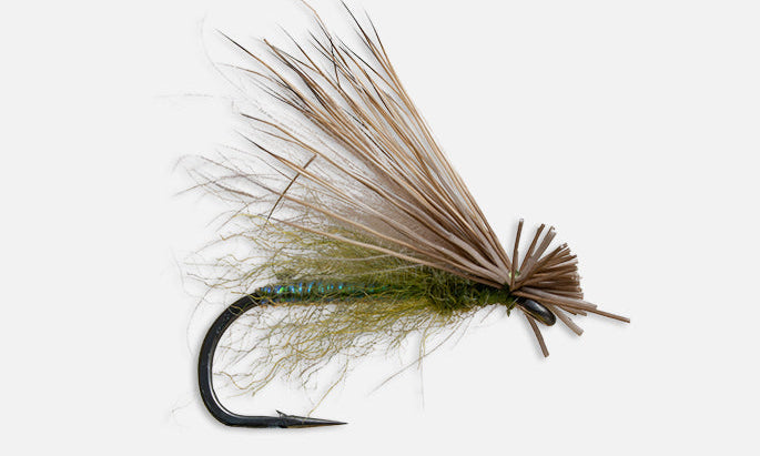 Fly Fishing fly