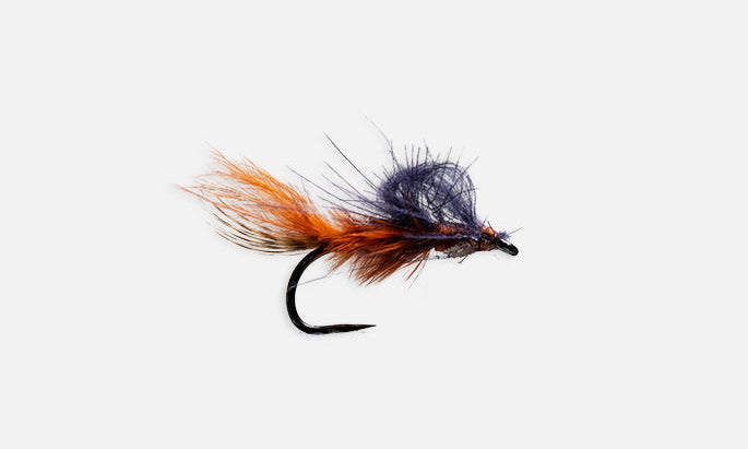 Fly Fishing fly