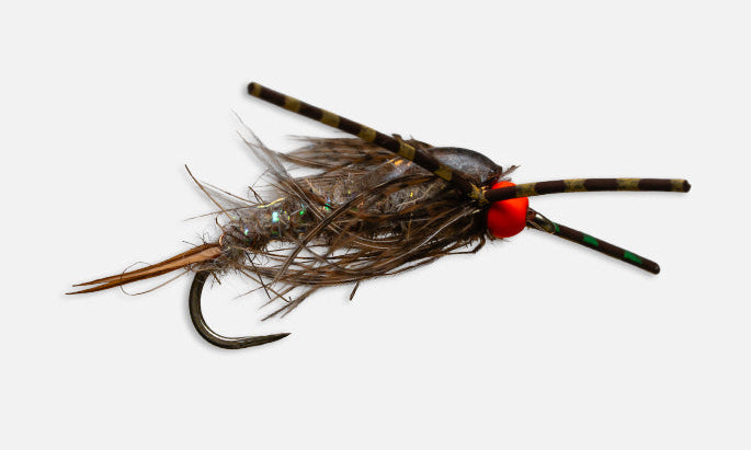 Fly Fishing fly