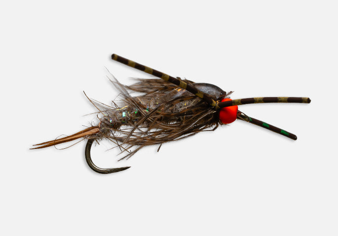 Fly Fishing fly