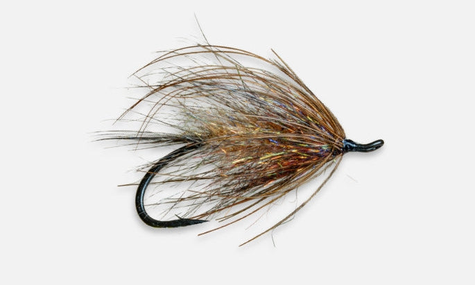 Fly Fishing fly