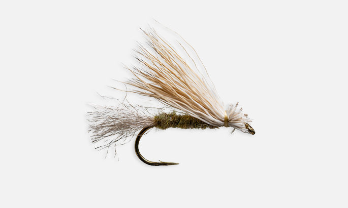 Fly Fishing fly