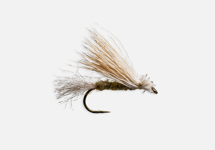 Fly Fishing fly