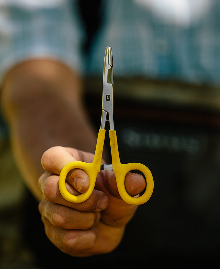 Classic Scissor Forceps